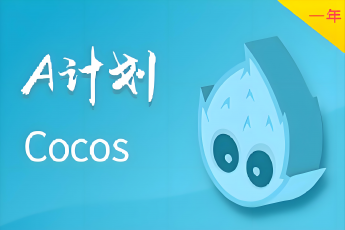 Cocos A计划（一年有效期）